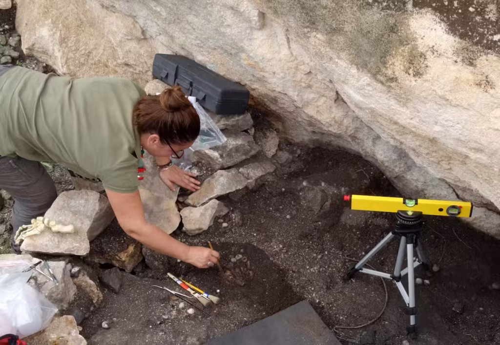 yy-1024x708 الأوروبيون سافروا خلال العصر الحجري عبر البحر ووصلوا إلى شمال افريقيا